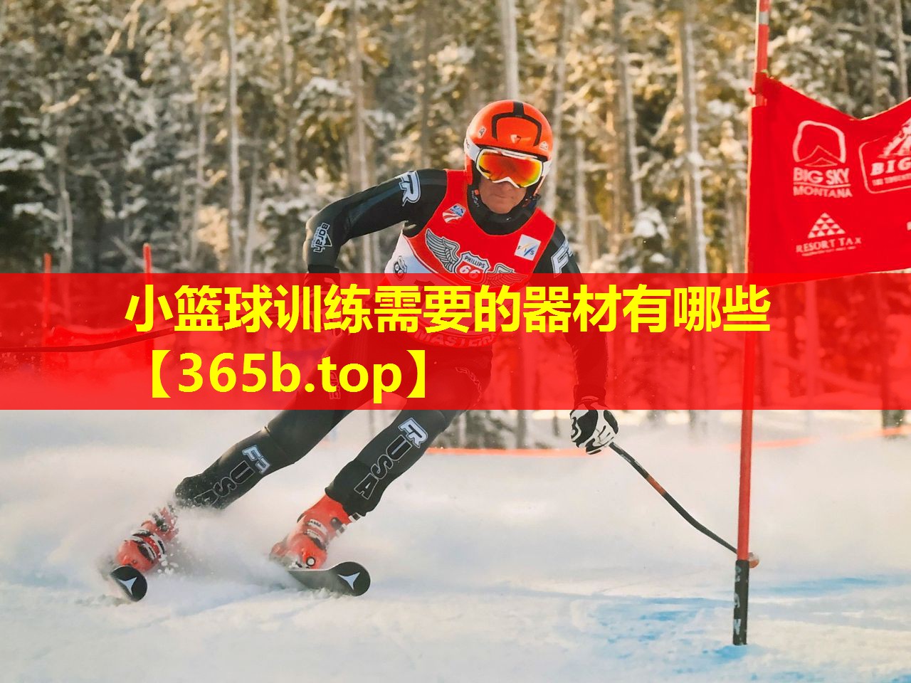 小篮球训练需要的器材有哪些 小篮球训练需要的器材有哪些