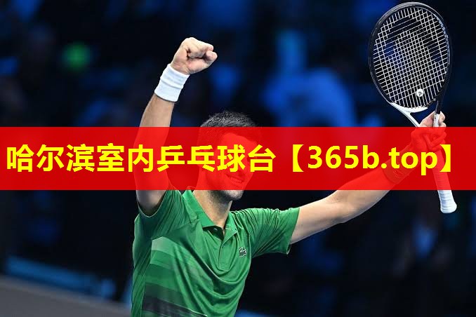 哈尔滨室内乒乓球台 哈尔滨室内乒乓球台