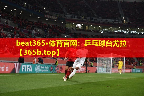 乒乓球台尤拉 乒乓球台尤拉
