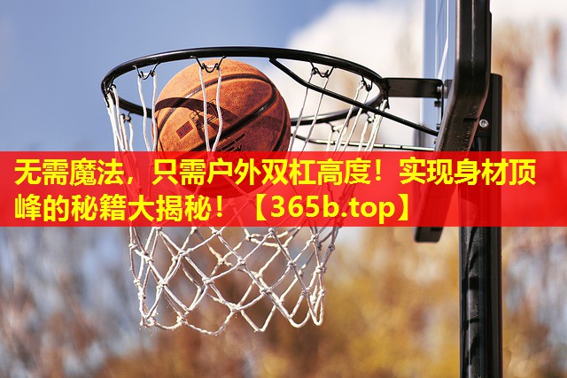 无需魔法,只需户外双杠高度!实现身材顶峰的秘籍大揭秘! 无需魔法,只需户外双杠高度!实现身材顶峰的秘籍大揭秘!