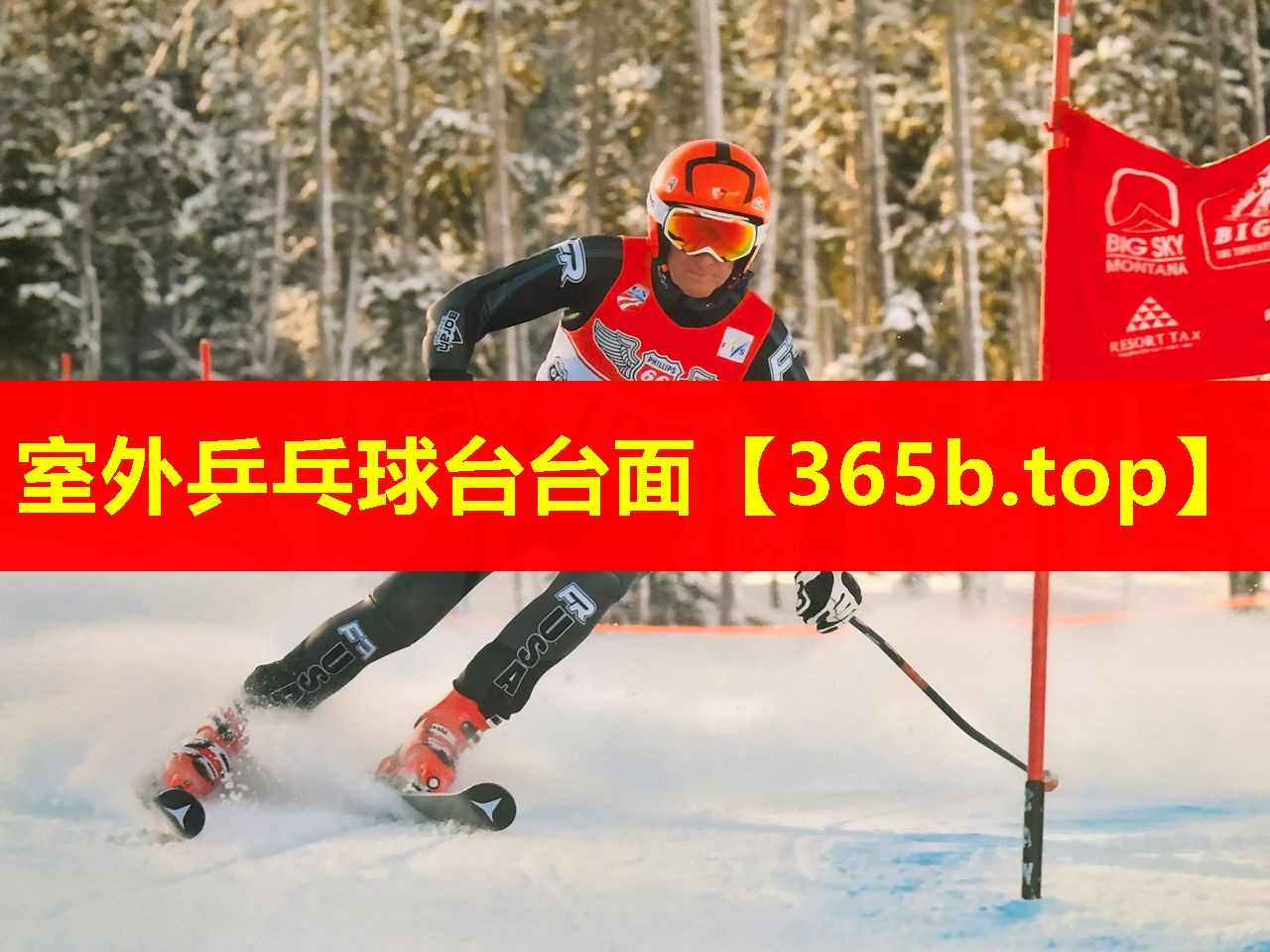 室外乒乓球台台面 室外乒乓球台台面