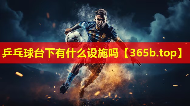 乒乓球台下有什么设施吗